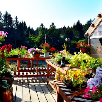 Thyme on the Boardwalk - Flowers & Gifts Near Me - Seldovia, Alaska Thyme on the Boardwalk - Flowers & Gifts Near Me - Seldovia, Alaska