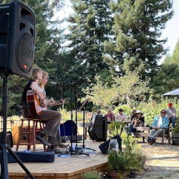 Horse & Plow - Local musicians on stage - Wine Tasting Room Near Me - Sebastopol, California