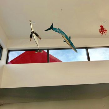 Blue Horse Building & Design - a sculpture of a horse and a dolphin - General Contractors Near Me - Austin, Texas