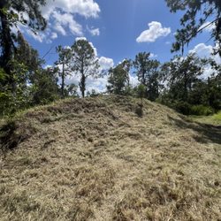 Swfl Land Management