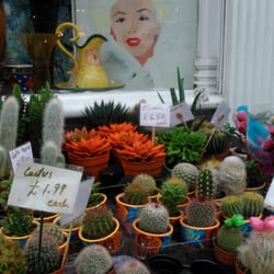 Floral Studio