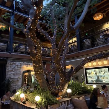 Mirate - Mexican Near Me - Los Angeles, California