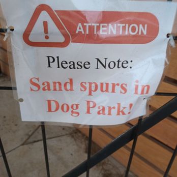 The Dog Pond - Sand spurs, eeeeek - Dog Parks Near Me - Gulf Shores, Alabama The Dog Pond - Sand spurs, eeeeek - Dog Parks Near Me - Gulf Shores, Alabama