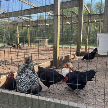 YODER’S COUNTRY MARKET - Updated March 2026 - 180 Photos & 118 Reviews ...