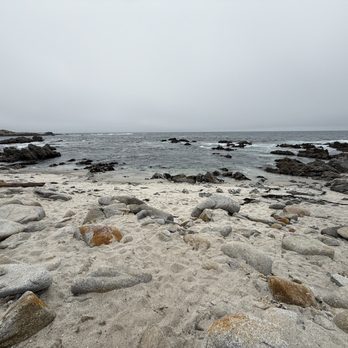 Asilomar State Beach - Parks Near Me - Pacific Grove, California