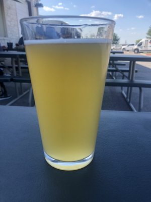 Bluebonnet Beer Company by null