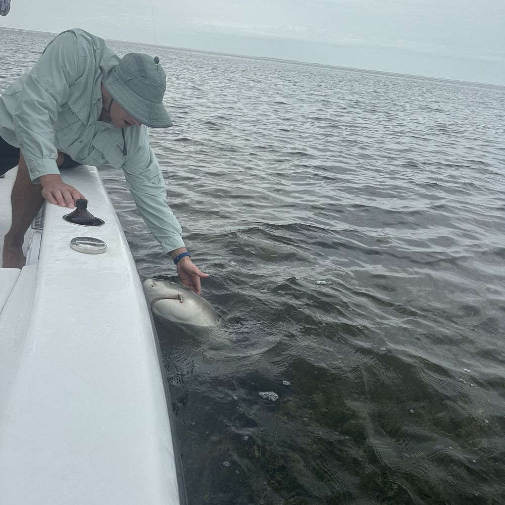 Florida Keys Fun Fishing - Fishing Near Me Florida Keys Fun Fishing - Fishing Near Me