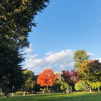 Boston Common - A park with various trees, including one with bright red leaves, under a blue sky with some clouds, during daytime. - Parks Near Me - Boston, Massachusetts