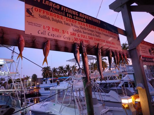 Sailors Choice Party Fishing Boat & Anglers Choice Sport Fishing private Charters by null