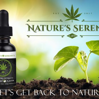 NATURE'S SERENITY - Updated April 2026 - PO Box 115, Palatka, Florida - Vape  Shops - Phone Number - Yelp