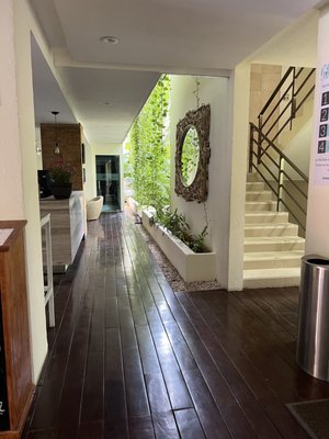 The Palm at Playa by null