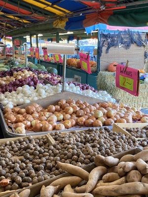 Sonoma Valley Fruit Basket by null