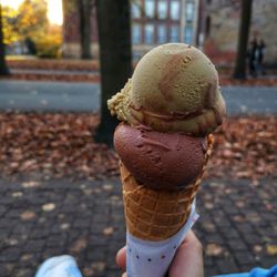 Gelateria Arte Bio