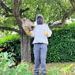 Knockout Pest Control