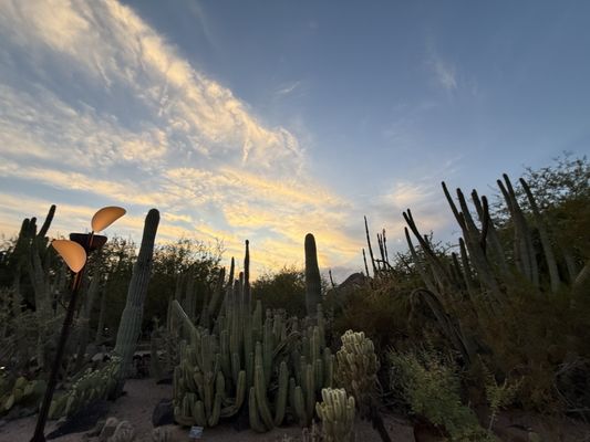 Papago Park by null