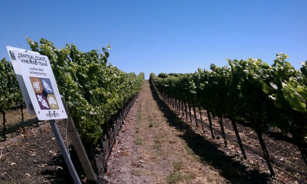 Tolosa Winery by null