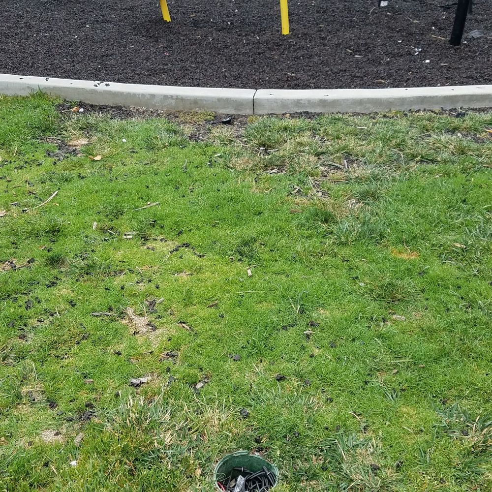 "Playground" "Playground"
