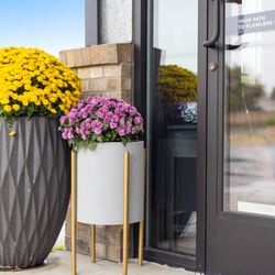 Montana Medical Aesthetics Clinic