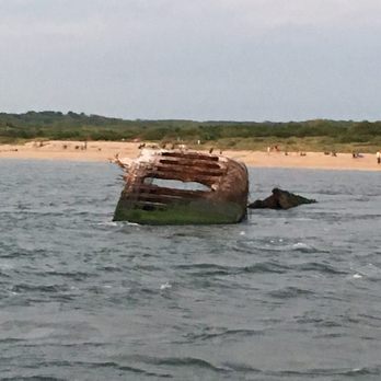 Cape May Whale Watcher - Concrete Ship - Whale Watching Tours Near Me - Cape May, New Jersey Cape May Whale Watcher - Concrete Ship - Whale Watching Tours Near Me - Cape May, New Jersey