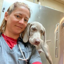 Coffee Memorial Animal Clinic - Coffee Memorial Animal Clinic, PSC