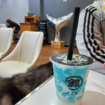 The Whale Tea - Drink - Bubble Tea Near Me - New Haven, Connecticut The Whale Tea - Drink - Bubble Tea Near Me - New Haven, Connecticut