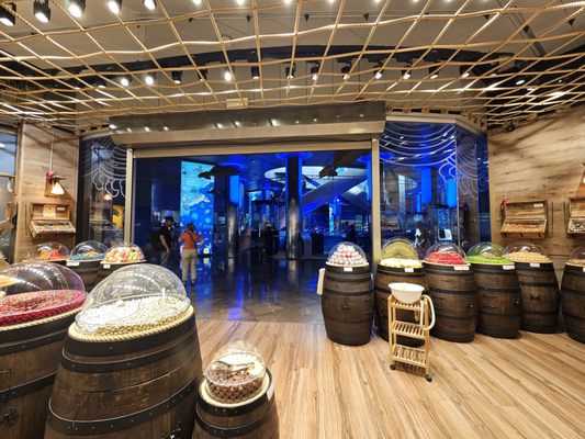 Oceanogràfic València by null