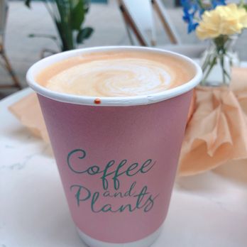 Coffee and Plants - Latte - Coffee & Tea Near Me - Pasadena, California Coffee and Plants - Latte - Coffee & Tea Near Me - Pasadena, California