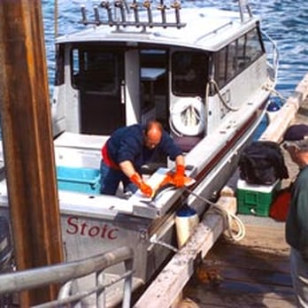 1. Glacier Bay Sportfishing