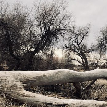 Poudre River Trail - Like a wishbone for giants! - Parks Near Me - Windsor, Colorado
