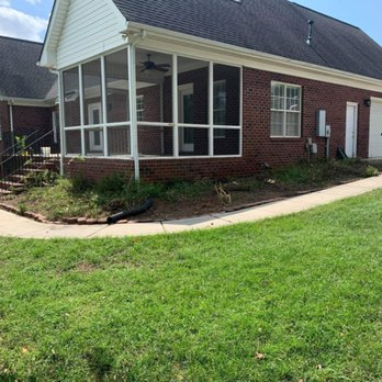 United Tree Company - Tree Services Near Me United Tree Company - Tree Services Near Me