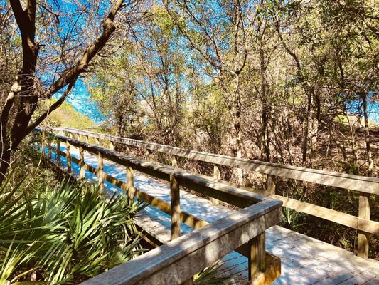 Jekyll Island by null