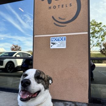Wag Hotels - Carson - Loved his bath - Pet Training Near Me - Carson, California Wag Hotels - Carson - Loved his bath - Pet Training Near Me - Carson, California