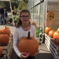 J C Farm and Greenhouses - Pumpkins!