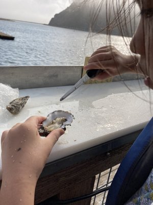 Morro Bay Oyster Company by null