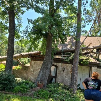 Earths Finest Tree Services - Landscaping Near Me - San Antonio, Texas Earths Finest Tree Services - Landscaping Near Me - San Antonio, Texas