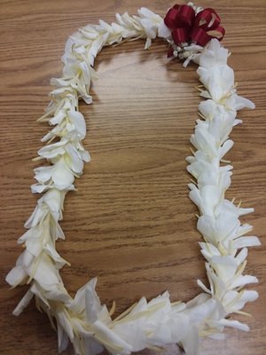 Native Intelligence by null