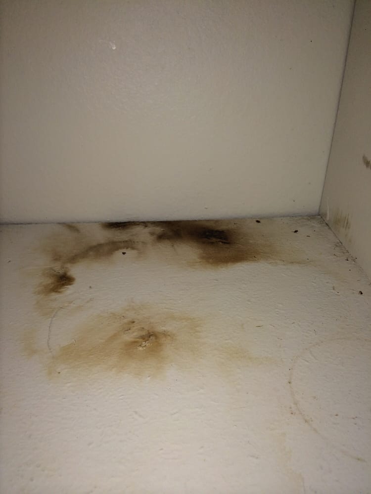 LINCOLN MOODY APARTMENTS Updated October 2024 9090 Moody St