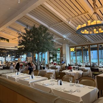 Novikov - Mediterranean Near Me - Beverly Hills, California Novikov - Mediterranean Near Me - Beverly Hills, California