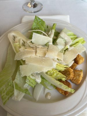 City Cruises by null