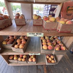 Peaches for sale Peaches for sale