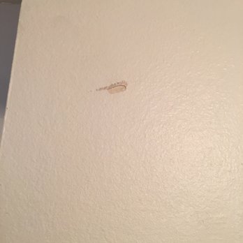 Brea/Orange County - Wall damage. - Plumbing Near Me - Brea, California Brea/Orange County - Wall damage. - Plumbing Near Me - Brea, California
