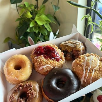 Fluff Bake Shop - fresh, handmade donuts! - Bakeries Near Me - Noblesville, Indiana