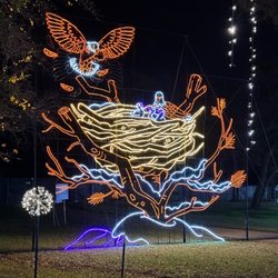 Prairie Lights