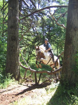 Canyonview Camp 13000 Finlay Rd Ne Silverton Or Camps Mapquest