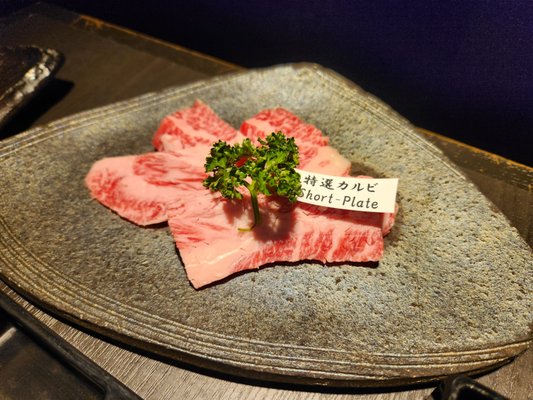 松阪牛焼肉 M 難波店 by null