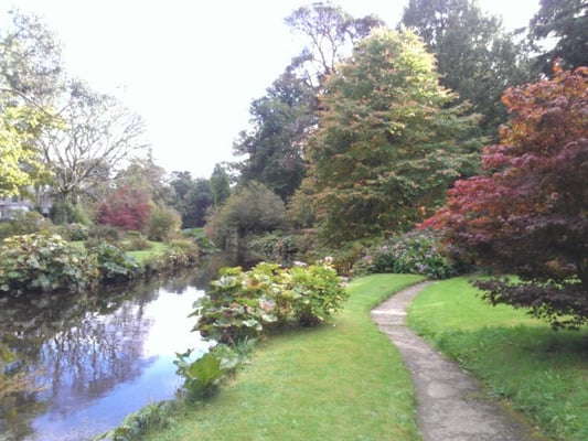Mount Usher Gardens by null