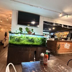 Pho Ha