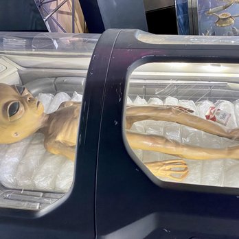 The Movie Prop Experience - 01.14.23 Passengers Original sleep pod. The X-Files original alien and cigarette pack - Museums Near Me - Las Vegas, Nevada The Movie Prop Experience - 01.14.23 Passengers Original sleep pod. The X-Files original alien and cigarette pack - Museums Near Me - Las Vegas, Nevada