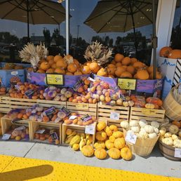 Pumpkin Season!