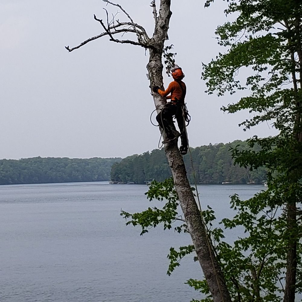 Tall Timber Tree Service